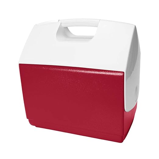 LIYANBWX - Nevera portátil para Acampada, caravanas y picnics (15 ...