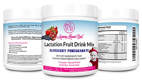 Lactation Supplement Fruit Drink Mix for Breastfeeding Mothers (Blueberry Pomegranate) - Boost Breast Milk Supply with Fenugreek, Goat's Rue, Blessed Thistle, and Fennel Seed - (21 Servings)