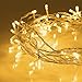 Aluan Christmas Lights Fairy String Lights 100 LED 36ft USB or Battery Operated 8 Modes Waterproof LED String Lights for Home Patio Party Wedding Christmas Indoor Outdoor Decoration, Warm White