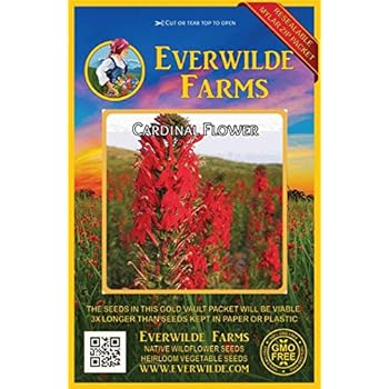 Everwilde Farms - 2000 Cardinal Flower Native Wildflower Seeds - Gold Vault Jumbo Seed Packet