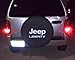 SpareCover BR-j-liberty-30-silver Brawny Series Black Denim 30