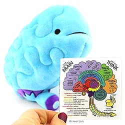 I Heart Guts Brain Plush - All You Need is Lobe