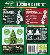 Westland Buxus Feed & Protect 2 in 1 Concentrates 2 x 500 ml Green view 2