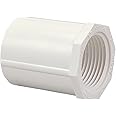 NIBCO C435-007 3/4 FE ADAPTER, White, 1 Count (Pack of 1)
