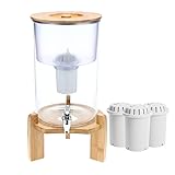 Invigorated Water pH Recharge Glass Alkaline Water