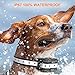 oneisall Shock Collar for Dogs, Rechargeable Dog Training Collars Bark Collar with Remote for Small Medium Large Dogsthumb 2