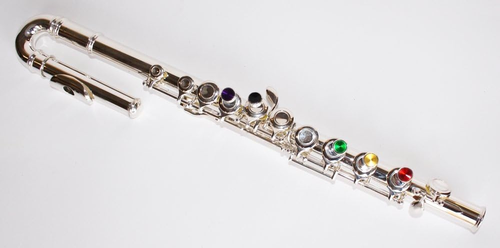 Cherrystone 0754235504696 Kinder C Querflöte (gebogenes Mundstück ...