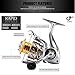 SeaKnight Rapid Saltwater Spinning Reel, 4.7:1,6.2:1 High Speed, Max Drag 33Lbs, Smooth Fresh and Saltwater Fishing Reel