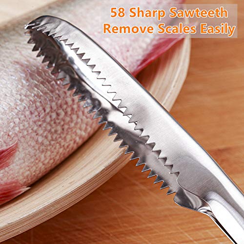 SUPERBEAR 2 Pieces Fish Scaler Remover Fish Scaler Brush with 58 Stainless Steel Sawtooth Easily Remove Fish Scales Skin Cleaning Tool Scraper for Chef and Home Cooks