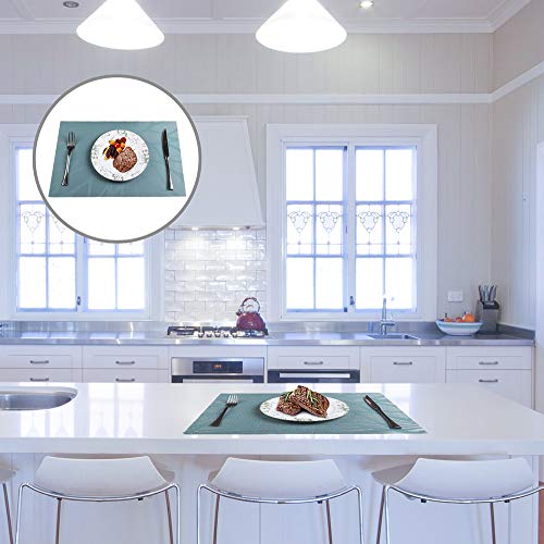 PREMIUM CARE Set of 4 Placemats for Table Heat-Resistant Skid-Proof Table Mats Dining Table Woven Stain Resistant Easy to Clean
