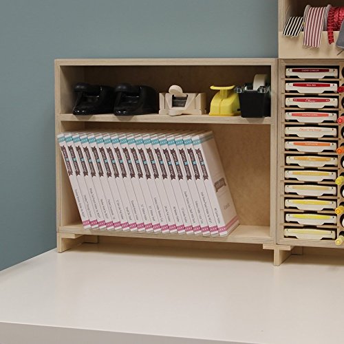 Shelf Unit - Stamp Case W/back, Wall Mount