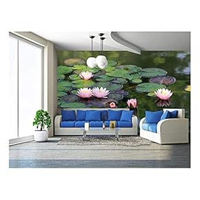 Beautiful Lotus Flower in The Pond - Removable Wall Mural | Self-Adhesive Large Wallpaper - 66x96 inches
