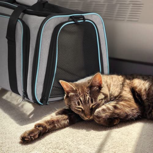 Small Pet Carrier Expandable Cat Carrier Airline Approved, Dog Carriers
