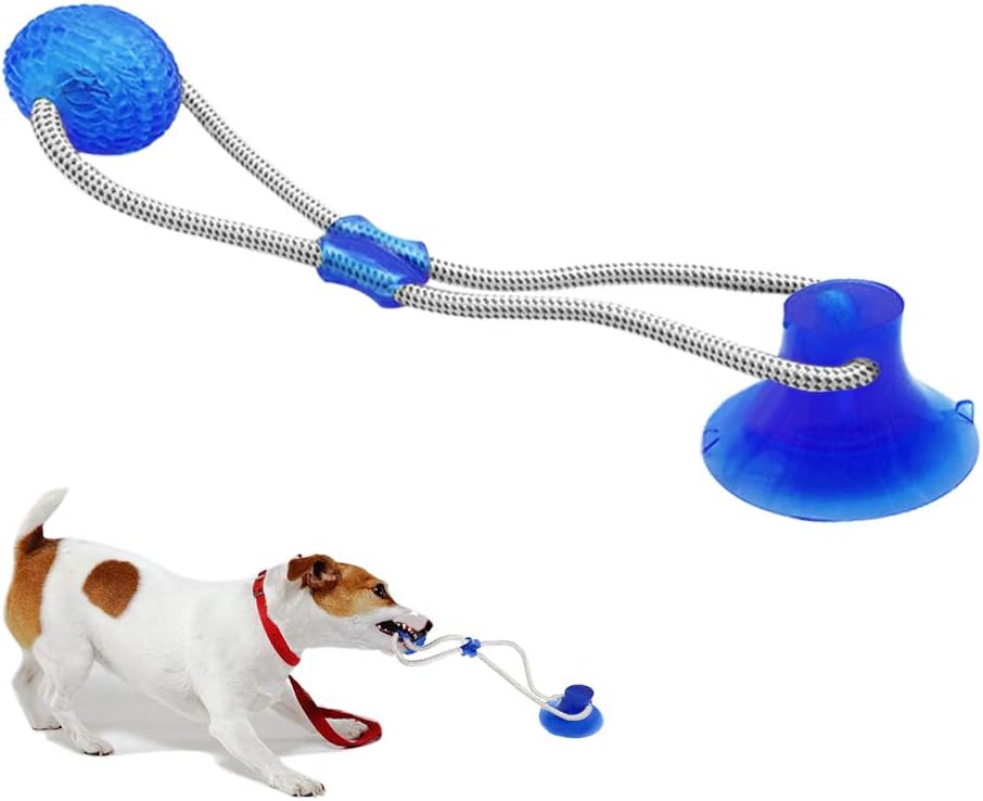 what can i give my dog for itching besides benadryl