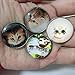 Koolemon Round Glass Fridge Magnet Set,Funny Magnets (Cat)