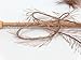 Cocoa Brown Eyelash Yarn 50 Gram Ice 22753