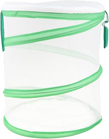 Amazon Co Jp Sm Sunnimix 折り畳み 虫かご 飼育ケース 昆虫ケージ 昆虫テラリウム メッシュネット ポータブル 昆虫孵化檻 1 おもちゃ