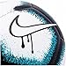Nike Copa America Pitch Soccer Ball (WHT/BLK/BLU, 5)