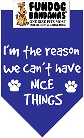 I'm The Reason we Can't Have Nice Things Dog Bandana