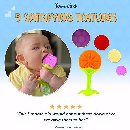 Fox and Bird - Baby Fruit Teether Pacifier (5 Pack) | Best Fruit Teething Toys for Toddlers and Infants | Baby Gum Massager | Baby Shower Registry Gift Set, with Pacifier Clip. (for Girls and Boys)