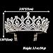 Sppry Women Tiara with Comb - Queen Crystal Crown for Bridal Girls at Wedding Prom Birthday Party, Gold