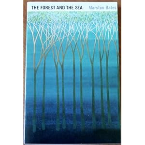The Forest and the Sea
