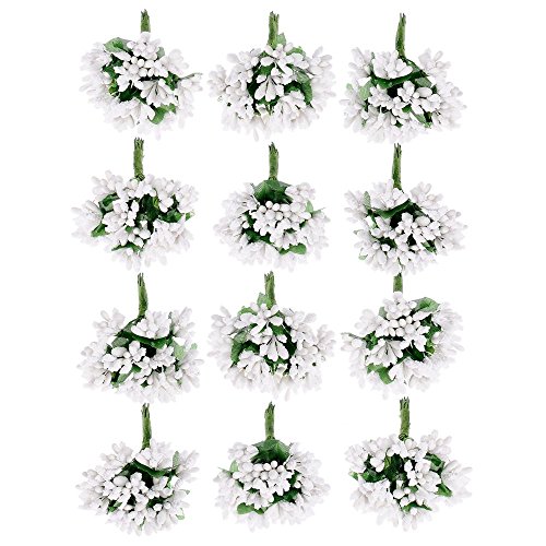 image for Supla 12 bouquets Pip Berry Stems Pip Berries Berry Stamen Pip Berry W