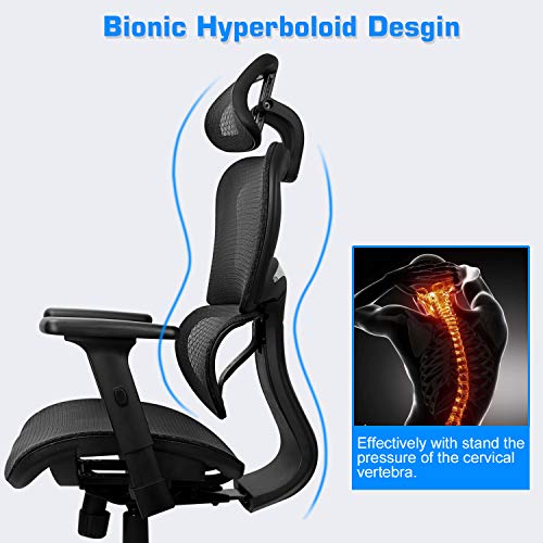 Ergousit Ergonomic Office Chair, Mesh Chair Computer Chair Desk Chair High Back Chair with 3D