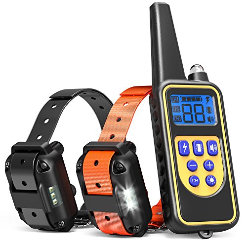 dog training collar with light