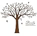 Giant Family Tree Wall Decals Photo Tree Wall Decals with Birds Wall Stickers for Living Room Nursery Bedroom Decoration (Coffee Brown)