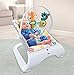 Fisher-Price Comfort Curve Bouncer, Multi color