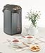 Zojirushi CD-WBC40-TS Micom 4-Liter Water Boiler and Warmer, Silver Brown