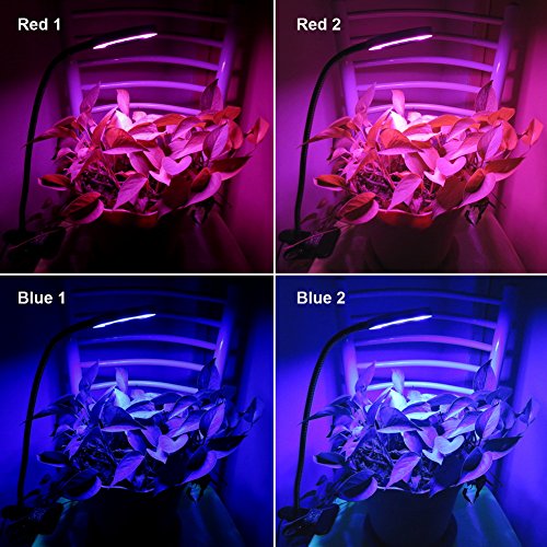 10W LED Grow Light, Venoya Desk Grow Lamp for Indoor Plants, Grow Light 8 Levels Dimmable with Flexible Gooseneck and Metal Clip for Bonsai, Pot Plant, Hydroponics, Horticultural Garden
