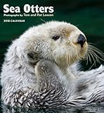 Sea Otters 2018 Wall Calendar by 
