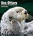 Sea Otters 2018 Wall Calendar by 