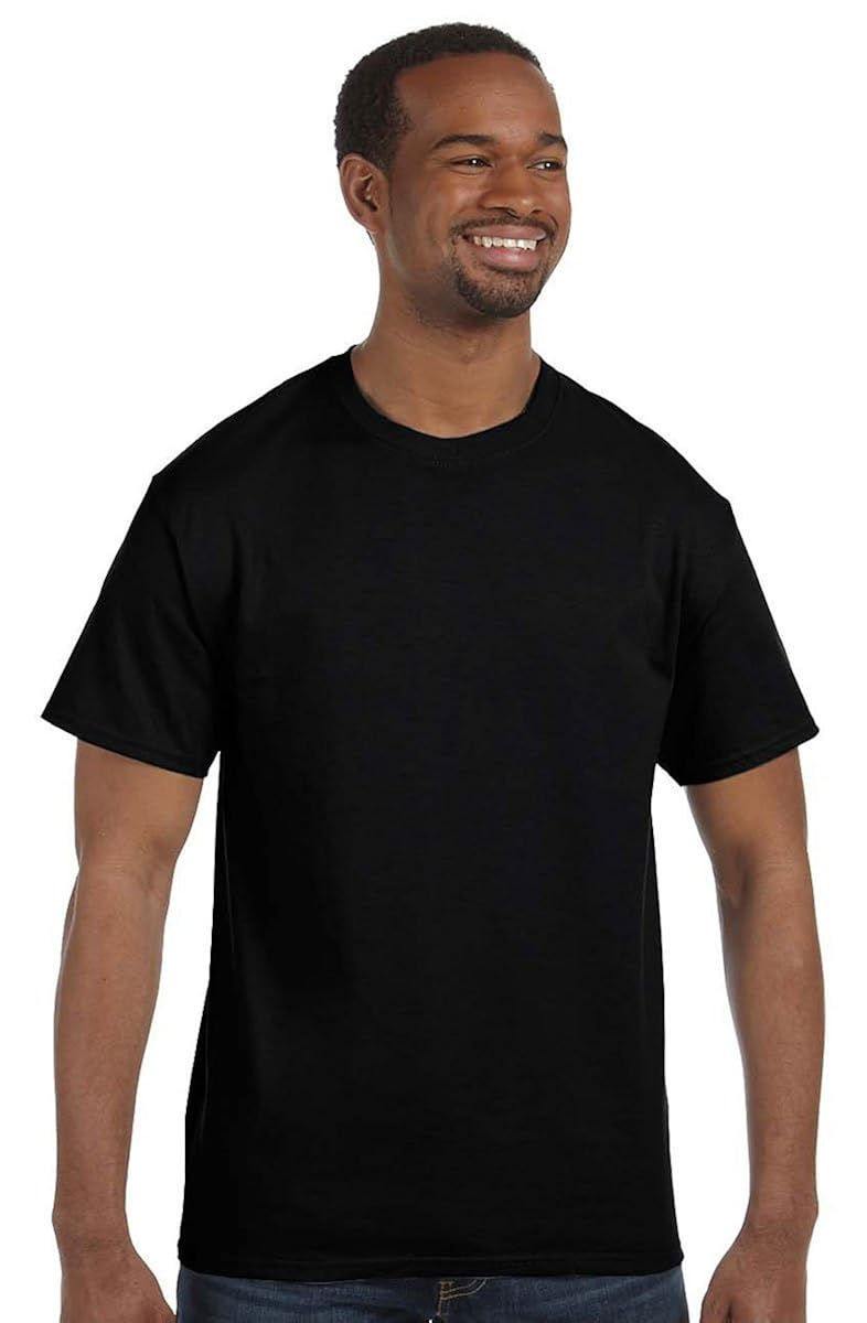 Best mens t shirts crew hanes lg