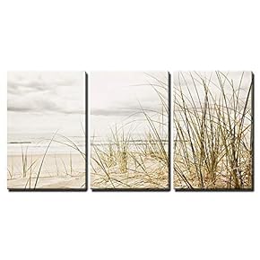 3 Piece Canvas Wall Art - Close up of a Tall Grass on a Beach During Stormy Season - Modern Home Art Stretched and Framed Ready to Hang - 16"x24"x3 Panels