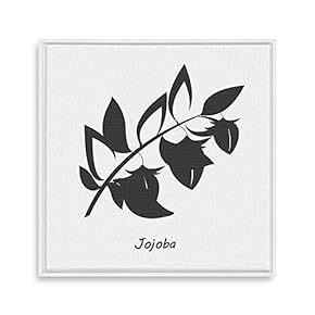 Framed Canvas Wall Art for Living Room, Bedroom Nordic Style Plants Theme Canvas Prints for Home Decoration Ready to Hang - 16x16 inches