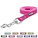 Pawtitas 6 FT Reflective Pet Puppy Leash - Comfortable Handle, Heavy Duty Dog Training, Available as Small Dog Pink Leash