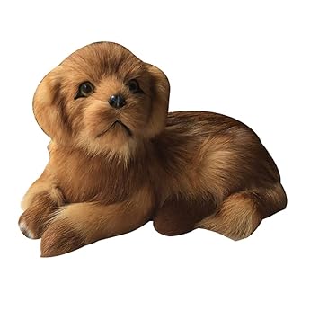 Buy Cycspriqh Lovely Simulated Golden Retriever Home Photography