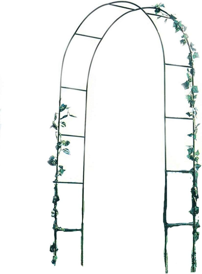 Amazon Com Mallofusa Metal Army Green Wedding Garden Arch Bridal