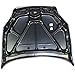 Evan Fischer Hood compatible with Chevrolet Impala 06-13 Impala Limited 14-15