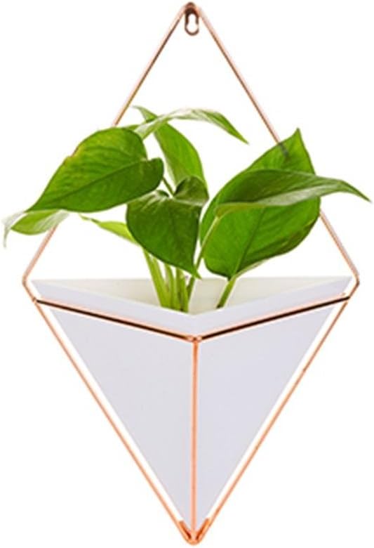 Wall Vase Black Geometric Plants White Deco Wall Flower Tray Innovative Decorative Geometric Hanging Planter Pot for Indoor Wall Decor, Ceramic/Metal White Black Electroplating