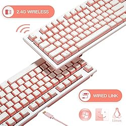 HEXGEARS X3 TKL Wireless Mechanical Keyboard with
