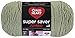 Red Heart Super Saver Jumbo Yarn, Frosty Green