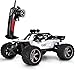 TOZO C2035 RC Cars High Speed 30MPH 1/12 Scale RTR Remote Control Brushed Monster Truck Off Road Car Big Foot RC 2WD Electric Power Buggy W/2.4G Challenger (01WHITE)