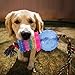 Lifewit Dog Toys, Cotton Dental Teaser Rope Chew Teeth Cleanning Dog Toy