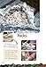G & R Publishing Campfire Treats by CQ Products, Spiral-bound