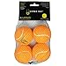 HypetPet Tennis Balls (4 Pack) primary