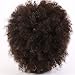 Afro Mannequin Head 100% Human Hair Hairdresser Training Head Manikin Cosmetology Doll Head (Table Clamp Stand Included) HI0210D (HI0210D)
